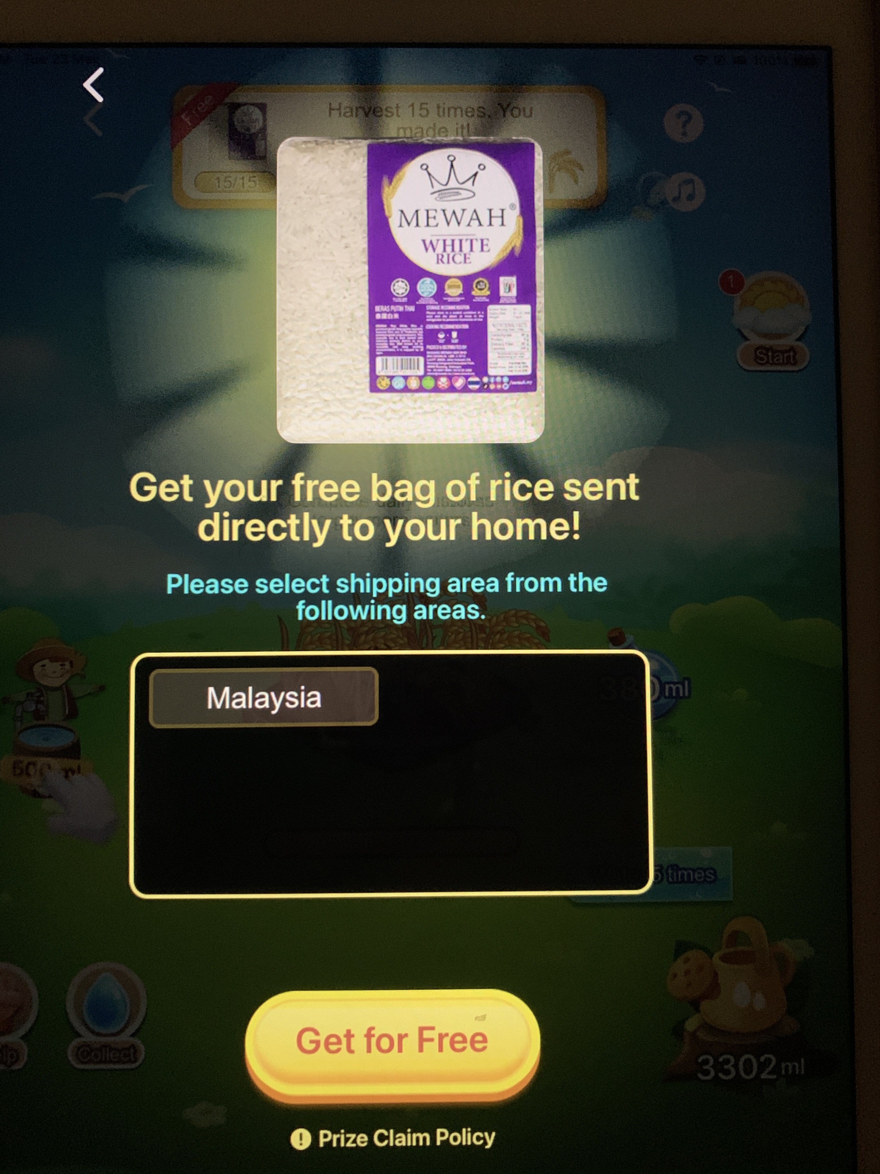 Free Rice | Angieneering